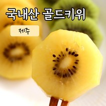 제스프리 제주 골드키위, 1kg(14~16과 내외), 1개