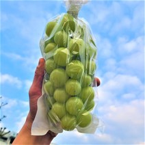 씨없는 포도 샤인머스켓 2kg 4kg, 2.(가정용) 샤인머스캣 2kg (4~6수)