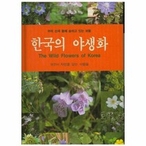 이노플리아 한국의 야생화, One color | One Size@1
