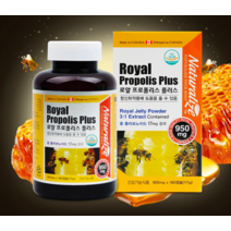 로얄프로폴리스 폴리폴리스 프로폴리스영양제 비프로폴리스