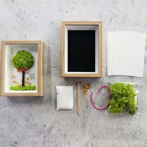 DIY스칸디아모스로 나무만들기 키트(사각 액자) DIY 공기정화식물 천연이끼, 씨클라멘