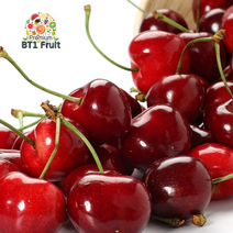 [항공직수입]칠레 싱싱체리 1.6kg(9.5row)