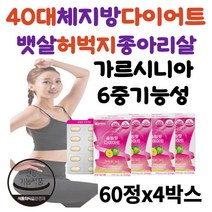 40대 체지방 다이어트 보조제 추천 가르시니아 셀렌 30대 50대 남자 뱃살 체지방 내장지방 빼는법 비타민B군 영양제 술배 윗배 똥배 올챙이배 종아리살 빼기 탄수화물 체지방컷팅제