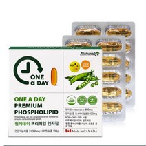 네추럴라이즈 원어데이 프리미엄 인지질 레시틴 90캡슐, 1개
