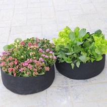 아파트베란다텃밭 미니정원 50cm 상추심기 블랙