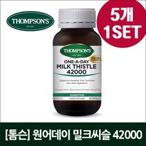 [톰슨] 원어데이 밀크씨슬 42000 (60캡슐)X5개