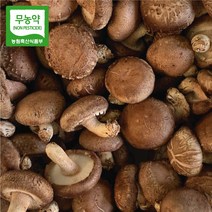장흥표고버섯 무농약 국내산 배지 생 표고버섯 산지직송 특품 상품 가정용 1kg 2kg, 가정용 2kg