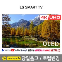 LG전자 83인치 4K UHD 스마트 TV OLED83C1 / 올레드 티비, 0. 매장방문수령
