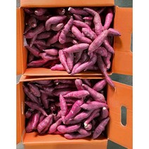 알뜰농장 2022년 햇 꿀 고구마 못난이(비품) 크기 왕.대.중.소 랜덤 발송 10kg (베니하루카) 전남 해남.무안작업, 1box