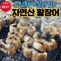 (최상품) 바다장어 통영 자연산 손질 바다 장어 활장어 구이용, (1) 통영 활장어(중)