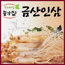 금산인삼 무료세척 세척인삼500g 세척인삼난발삼 세척인삼원수삼500g, 1팩, 무료세척 세척원수삼중500g(7~8뿌리)