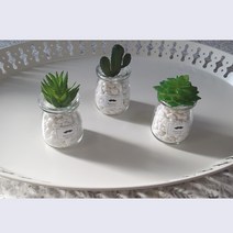 다육 식물 미니화분 3개세트 인테리어 홈데코 탁상용 흰색 자연석 포함, 연꽃/알로에/선인장