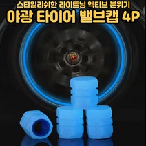 타이어구찌 야광 에어캡 밸브캡 휠 마개 에어 뚜껑 커버 4p 형광 핑크 블루[호&준 썸팅스토어], 블루, 4개