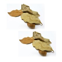 [디어달리아구아바비교] 구아바잎 무첨가물 무색소 국내산 100g 2팩, 단품, 단품