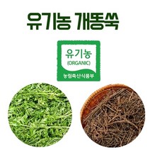 해피스토어70 국내산 말린 유기농 개똥쑥 300g (건조 개똥쑥차), 1개