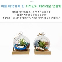 테라리움키트 이오난사 테라리움 만들기 친환경 이끼화분 초등 만들기키트 성인 어르신 치매예방놀이 DIY 취미KIT 미술재료 만들기재료, 4)동물농장