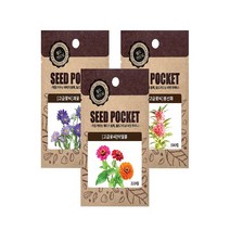 화분월드 예쁜 야생화 씨앗 고급 꽃씨, (고급꽃씨)수세미25립