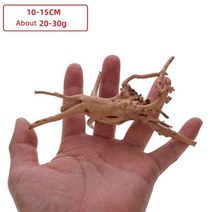 나무 천연 트렁크 유목 수족관 어항 식물 그루터기 장식 조경, M