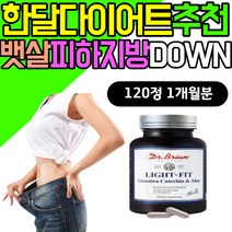 2주 한달 단기 다이어트 뱃살 턱살 피하지방 빼는법 산후 출산후 살빼기 보조제 항산화 콜레스테롤 개선 녹차추출물 비타민C 폴리페놀 EGCG 제품 지방 탄수화물 컷팅제 체지방컷 뱃살
