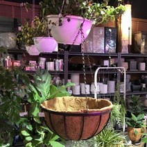 엔틱 행잉 플랜트 스탠드 코코넛바구니 35cm 집꾸미기