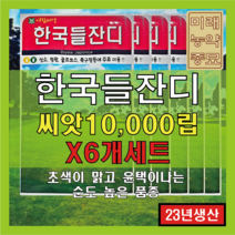 [23년산 국내생산] 잔디 씨앗/한국들잔디 만립(10000립) (X6개세트) - 산소용 정원용 골프장용 축구장용, 6개