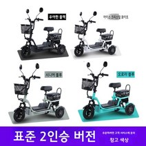 3륜 세발 삼륜 전기자전거 어르신 전기삼륜자전거 3륜전동스쿠터 전기바이크, 48V, 12A리튬배터리배터리수명약50km2인승