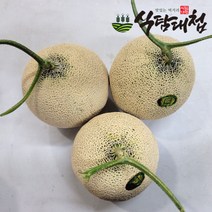 식탐대첩 머스크 메론 특대 4통 (1통당 2kg 내외), 단품