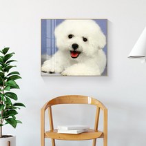 HAENGBUK DIY 말티즈 예쁜 강아지 보석십자수 동물 원형비즈 전체수 실내 집순이 취미, 하나, 90X80cm