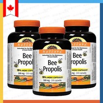 [3개세트] 홀리스타 비 프로폴리스 500mg 200 캡슐 Holista bee propolis