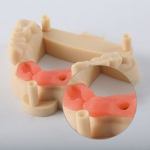 Resione DLPLCD 감광성 수지 치과 주조 컬러 3D 레진 D01SC01F80, 핑크(껌색) 500g