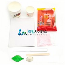 나뭇잎 조개 화석만들기 (1인용)