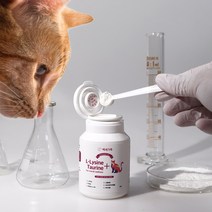 베토퀴놀 애니실 F 엘라이신 고양이 영양제 100ml, 면역력 강화, 1개