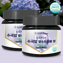 수국입 열수 추출물 복합정 48000mg 120정 AMPK 효소 활성 수국잎, 2병, 120정/60g