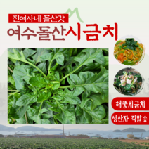 [진여사네돌산갓] 여수 돌산 시금치 남해 노지 섬초 2kg 4kg, 시금치 4kg