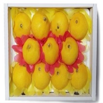 제주직송 황금향 선물용, 황금향 선물용 3kg, 1개
