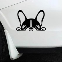 빼꼼 페리토린다 차량하단 긁힘가림 스티커, 1개, 화이트