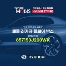 현대모비스 핸들 러기지 플로어 박스 (857153J200WK), 1개