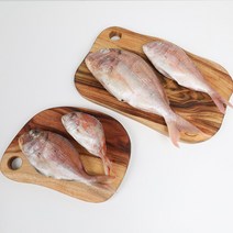 자갈치닷컴 냉동도미 도미, 1개, 24~27cm전후 30마리