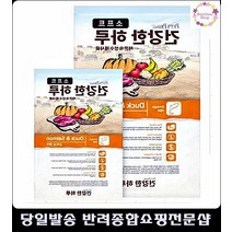 구토하는강아지보양식콜레스트롤낮추는 웰시코기사료추천