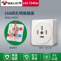 콘센트플러그 10L4 넘어져도 깨지지 않다 10A 두발 양극 납작함 공업 가철 전원 4887645200, 1, GN -Z16 (삼상사선 16A 노출