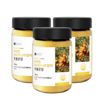 씨벅톤 비타민나무열매 추출분말 파우더 180g, 3통