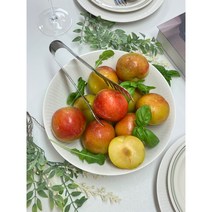 입덧푸드 추희자두 가을자두 추이자두, 대과, 5kg, 1개