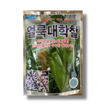 농우바이오 감미와 찰기가 우수한 얼룩대학찰 80립 /옥수수종자 옥수수씨앗