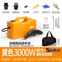 자동차 스팀청소기 기름 묵은때 고온 고압 탈취 세차, 3000w 노란색