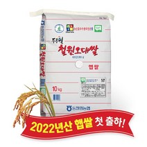 [예산삼광미] [당일도정] [동철원농협 직접운영] 2022년산 두루웰 철원오대쌀, 햅쌀 10kg