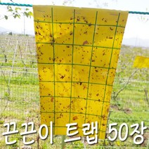 뿌리파리 끈끈이트랩 50 장 양면 날파리 초라피 파리 나방 해충 퇴치