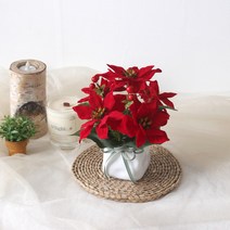 뷰티 포인세티아 조화 스팟화분
