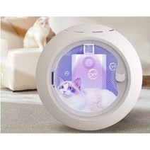 건조기 강아지 드라이룸 고양이 털말리기 애견, A