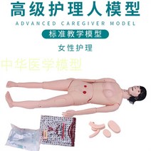 심폐소생술 연습 교육자료 인형 모형 모양 인공호흡, 노인 여성 간병인 (중요 장기 포함)