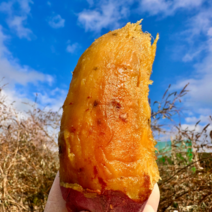 꿀달달 꿀고구마 베니지민고구마 다이어트고구마 당진고구마 호박고구마 로얄사이즈 3kg 5kg, 긴상 3kg (로얄 인기사이즈)